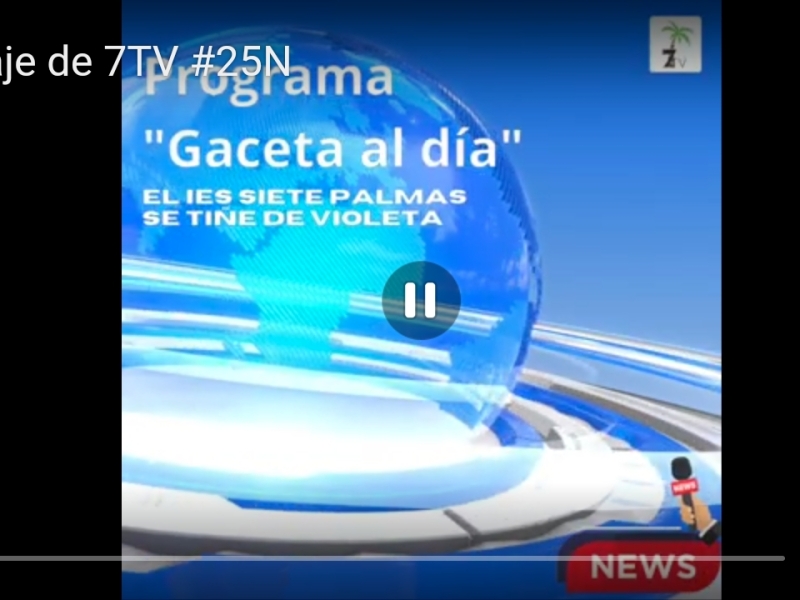 Reportaje televisivo de 7TV sobre los actos del #25N